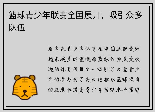 篮球青少年联赛全国展开，吸引众多队伍